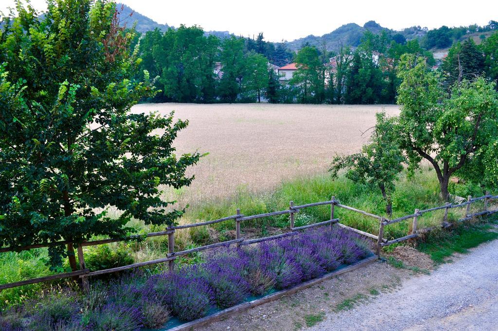 Le Macine Relais Bed & Breakfast Кайро Монтеноте Екстериор снимка
